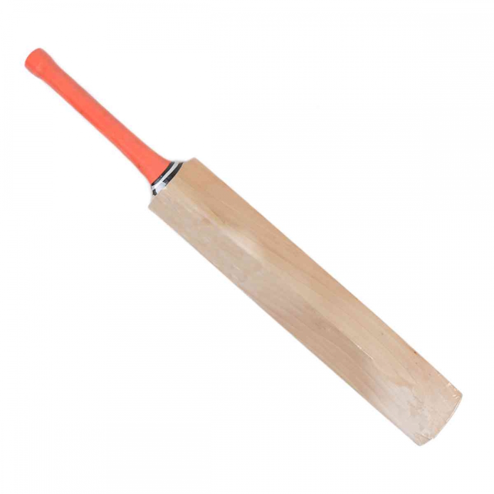 Cricket Bat